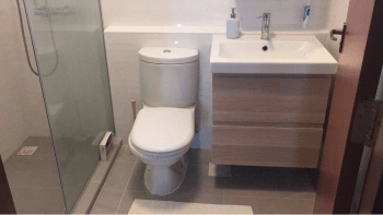 toilet repair